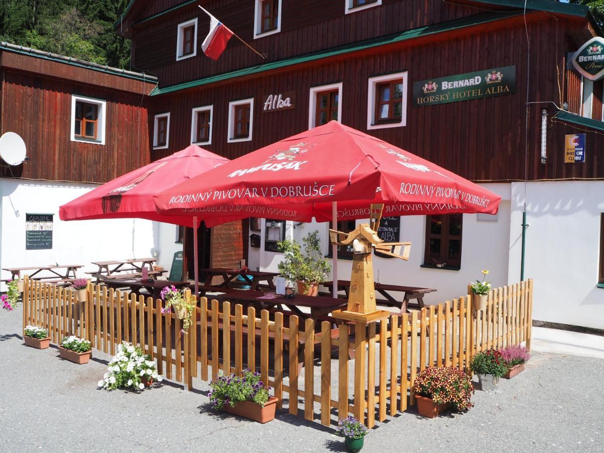 Hotel Alba Destne v Orlickych horach Esterno foto