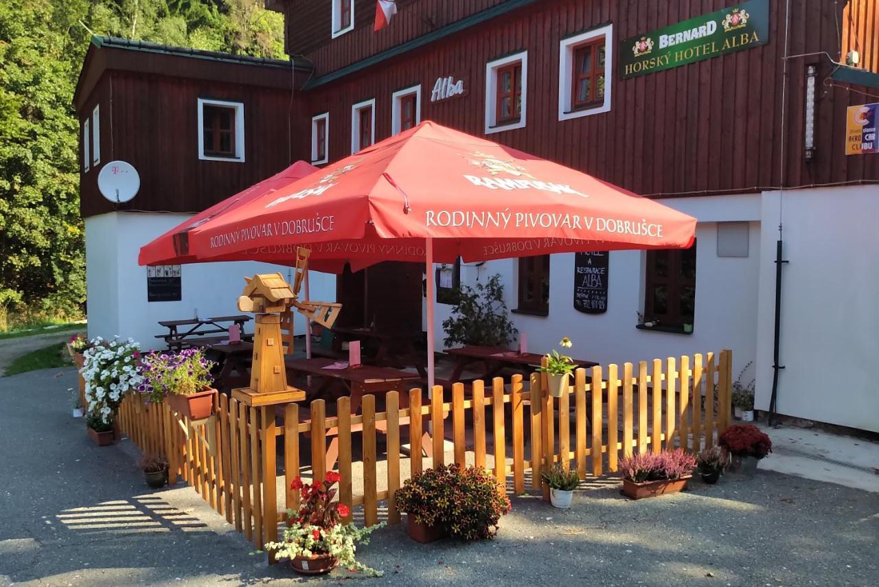 Hotel Alba Destne v Orlickych horach Esterno foto