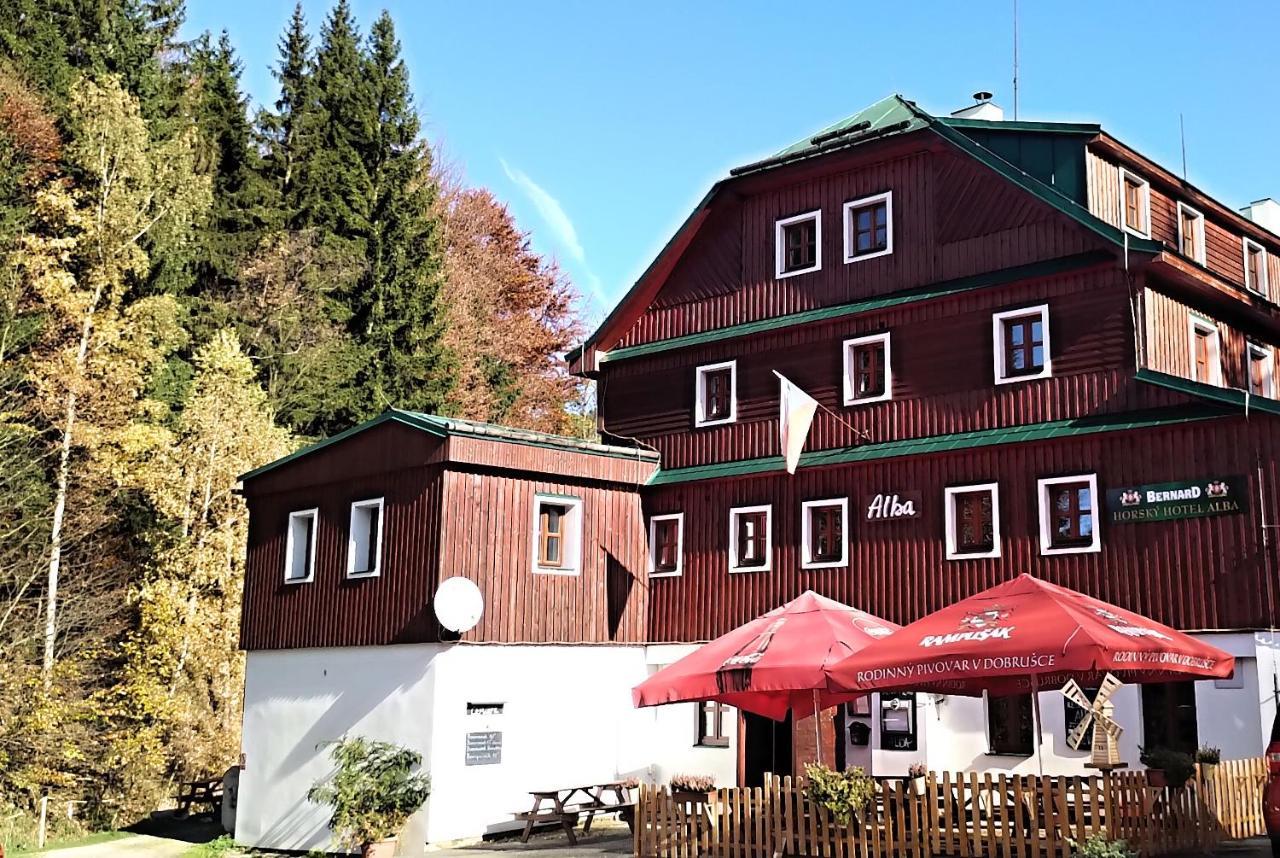 Hotel Alba Destne v Orlickych horach Esterno foto