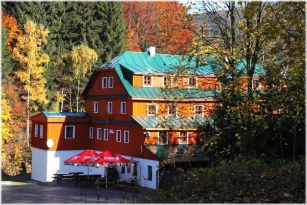 Hotel Alba Destne v Orlickych horach Esterno foto