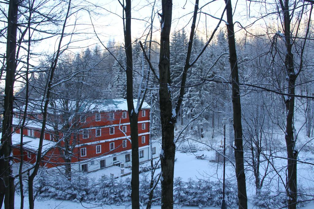 Hotel Alba Destne v Orlickych horach Esterno foto